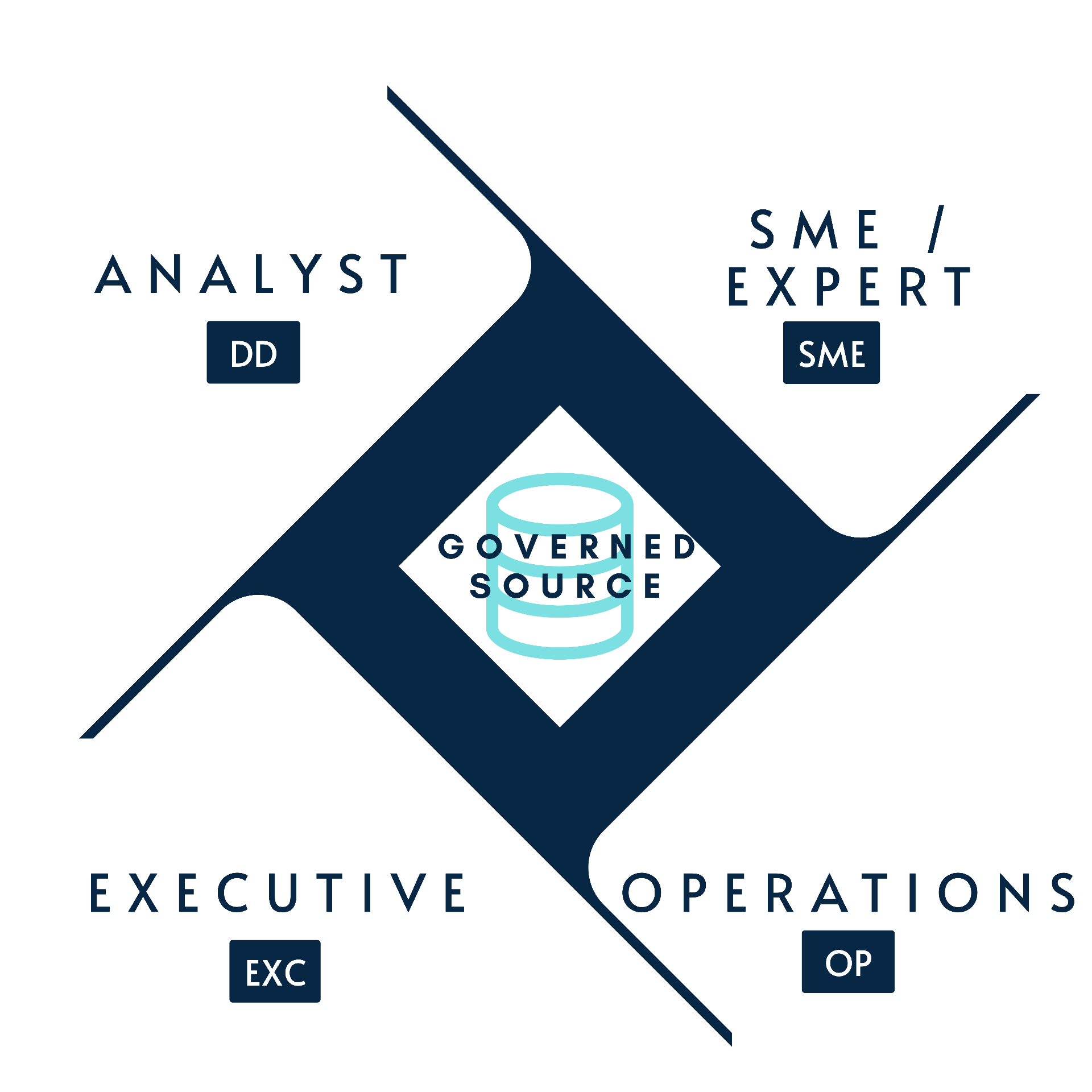 Perspectives framework diagram: four audience lenses (Analyst, SME/Expert, Executive, Operations) radiating from a single Governed Source.